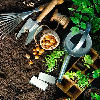 Why Buy Organic? A Guide to Organic Food in Cardiff